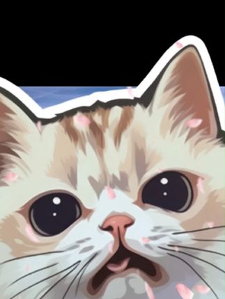 55555555