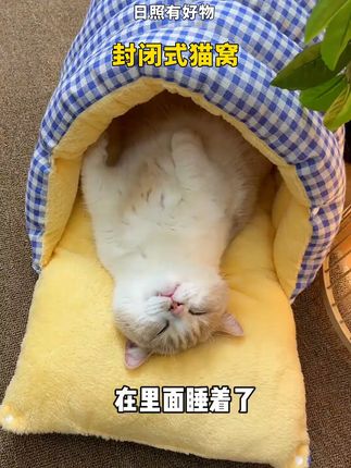 挖掘到了一个宝藏猫窝,价格便宜质量好,猫咪又喜欢,冬季必备款#猫窝 #猫窝推荐 #猫房子 #萌宠好物