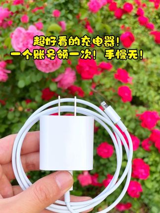 #苹果 #充电器 #数据线 #爆款热卖中 #好物推荐