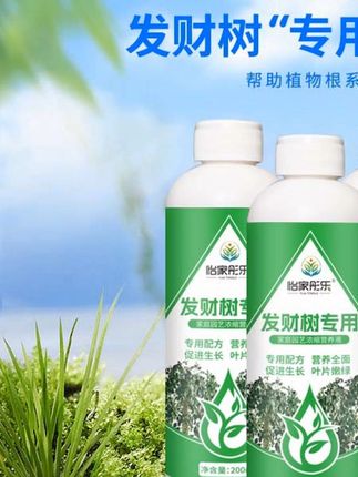 发财树这么好养的植物为什么老养不好?就是每个月定期使用这种营养肥它富含发财树生长所需的氮磷钾等微量元素 #发财树 #发财树这么好养的植物为什
