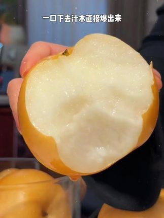 正宗烟台莱阳秋月梨新鲜冰糖梨当季水果秋月梨现摘皮薄