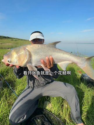2025年第52集:降温前的最后一天,收获来之不易。 #原来钓鱼才是抖音运动顶流 #钓鱼 #钓鱼人 #dou是钓鱼人 #浮钓鲢鳙