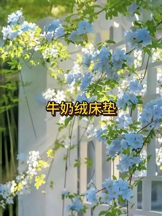 #床上用品 #牛奶绒床垫  #牛奶绒床盖 #加厚保暖 #床垫#抖音美好丰收节 #男士神仙单品 #在抖音入手的好东西 #无限回购的宝藏单品