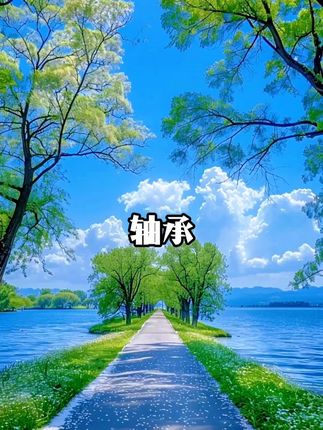 电动车前轮轴承走外圆,可以用这种内圆不变外圆加大的轴承,又能省钱客户还满意#电动车维修 #修车 #维修小技巧 #修理