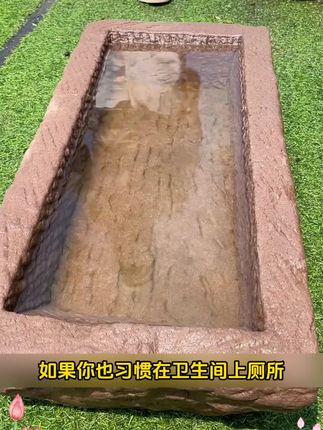 #碗莲 #荷花 #水培植物 #种子推荐 #爱生活爱养花 家里有盆盆罐罐的一定要养起来碗莲有水就能养!花期长又好看赶紧种起来吧