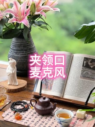 无线领夹麦克风户外视频专用直播口播专业收音麦录音超清降噪#话筒 #麦克风 #户外收音