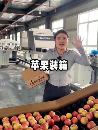 给大家看一下我们的有机苹果从分拣到装箱过程~ #优质农产品 #抖音助农 #水果 #有机农业 #三农