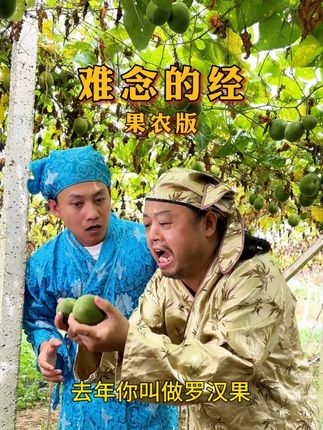 果农版《难念的经》 果农也有一本难念的经#桂林秀才  #罗汉果  #好汉歌  #优质农产品  #我为家乡农产品代言