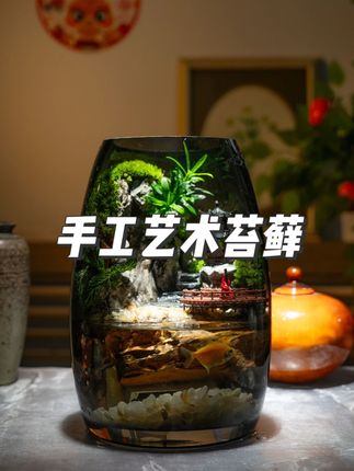 江南新品纯手工艺术苔藓桌面摆件带流水生态景观真绿植真石头工艺 #手工艺术苔藓 #艺术苔藓 #手工苔藓 #手工苔藓地毯 #手工苔藓推荐