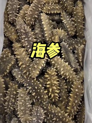 #海参 #支持全国发货 #厂家福利 即食海参99元60只了,快来抢购