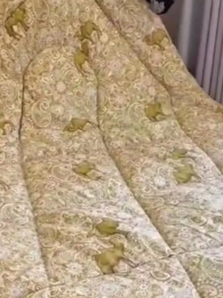 特价加厚驼毛被子冬被芯保暖驼绒被单双人春秋被学生宿舍冬天棉被