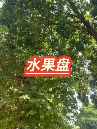 #果盘 #旋转果盘 #水果盘