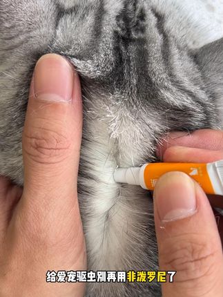 给猫狗驱虫别再用非泼罗尼了,试试这个第三代的内外同驱,趁着现在虫子活跃的季节,快给你家猫狗也试试吧#宠物驱虫 #猫驱虫 #萌宠好物 #科学养宠攻略 #养猫人