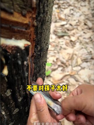 家长一定要读读这本《父母越松弛 孩子越强大》,学会育儿的的正确方法,孩子会越来越感恩!!#育儿 #家庭教育 #家长必读 #父母课堂 #好书分享