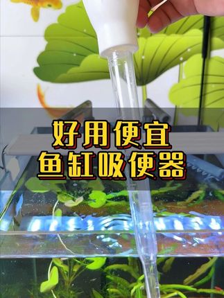 便宜好用的鱼缸吸便器,方便吸走缸底的鱼便垃圾 #鱼缸吸便器 #鱼缸吸便器换水器 #养鱼日记 #养鱼用品 #养鱼人