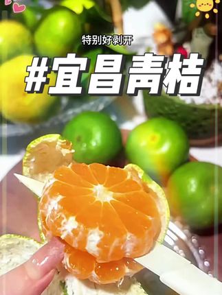 馋了一年的高山无籽青皮蜜橘终于上市了!皮很薄!果肉细腻无渣,汁水特别多!酸甜可口!一口爆汁!真的巨好吃!#云南蜜橘#青皮蜜橘#橘子#新鲜应季水果#优质农产品