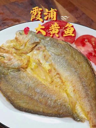 霞浦大黄鱼每天现捕现发~船冻锁鲜,肉质鲜嫩~大黄鱼之乡原产地直发,享受新鲜美味 #大黄鱼之乡#黄鱼鲞#黄花鱼#海鲜原产地#海产品