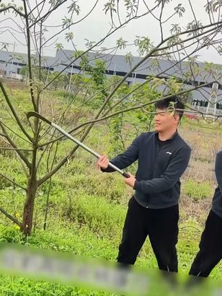 农用工具锰钢镰刀割草刀弯刀多功能柄加长长刀农具割草除草刀锋利#割草刀 #长柄镰刀 #镰刀 #农用工具 #割玉米镰刀