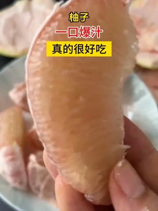没有“虾线”的柚子终于上市啦!不粘皮真的不粘皮!巨好剥!不愧是文旦柚!果肉细腻,脆甜多汁巨好吃!秋天的第一个柚子安排上!#文旦柚 #秋天的第一个柚子 #柚子的正确剥法 #柚子 #新鲜应季水果 x4