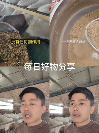 酵八仙xp 专注调节牛羊胃肠道 / 增重好帮手 高效 快速 复合营养