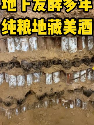 很多年前厂长酿造的美酒,埋在地下很多年了,现场打开一瓶看看怎么样!#酿酒人 #白酒 #地藏酒 #酒厂 #酒厂实拍