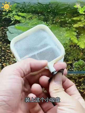 #渔具用品 #鱼网 #鱼捞 #鱼网捕鱼 #渔网 鱼缸3D捞鱼网鱼捞可拆卸不锈钢可伸缩鱼小型渔捞水族用品手抄鱼网 #鱼缸3D捞鱼