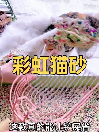 除臭颗粒+豆腐砂的配方,让猫砂不仅结团紧实,还能铲屎不臭! #萌宠好物#新手养猫#猫砂#猫砂推荐