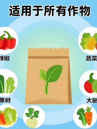 #精选好物