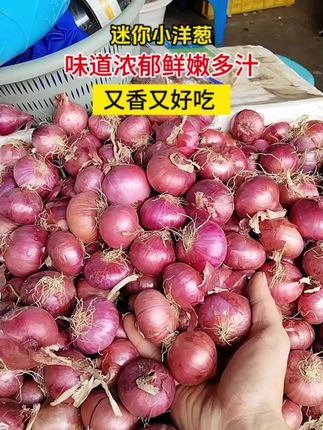 味道比大洋葱好多了,而且还不会浪费#迷你小洋葱 #吃洋葱的好处 y