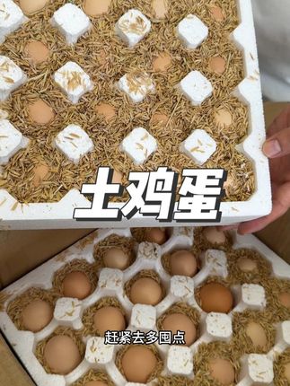 来自山林散养的土鸡蛋#品质好 现在到手50枚平时蒸煮都是可以的#土鸡蛋 #散养土鸡蛋
