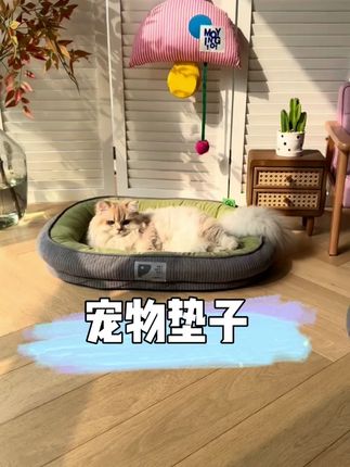 四季通用耐咬可拆洗狗窝猫窝宠物垫子中大型犬适用#四季通用耐咬 #超便宜超划算