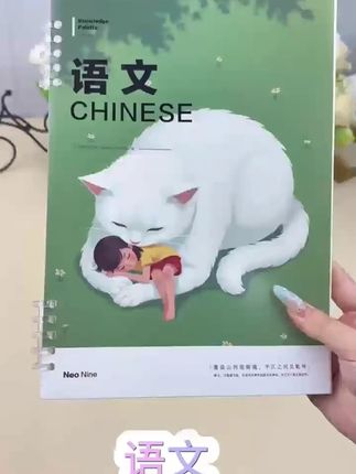 精美分类科目笔记本全套初高中生作业本9科b5活页本简约插画系列#笔记本 #作业本  #活页本 #初中笔记本#高中笔记本