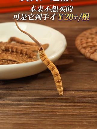 太划算啦!传说中价比黄金的冬虫夏草,现在只要这个价#东阳光冬虫夏草 #好虫草鲜着吃 #天赐的声音