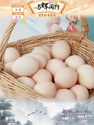 【参皇】参皇无抗鲜鸡蛋-30枚装.1.55KG #鲜鸡蛋 #鸡蛋推荐 #蛋黄饱满 #参皇 #好物分享 @DOU+上热门 @DOU+小助手