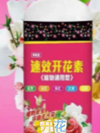 【通用型】速效开花素不用兑水稀释,拿起来就可以喷,每个星期喷一次,三角梅也能花开爆盆,还能延长花期,花色艳丽