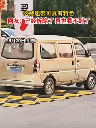 金钻盆栽室内净化空气美观桌面绿植办公室四季常青#金钻 #绿植 #爱生活爱养花 #室内盆栽 #超便宜超划算