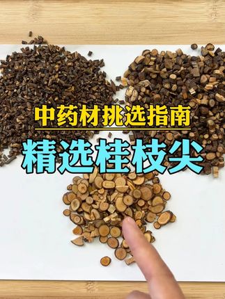 如果买到高品质的桂枝尖?#桂枝 #桂枝尖 #桂枝汤 #自学中医 #传承中医文化