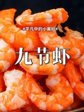 九节虾仁即食新鲜虾仁干海鲜干货野生淡干无盐虾仁#九节虾 #九节虾干 #九节虾做法 #九节虾炖汤 #九节虾养殖