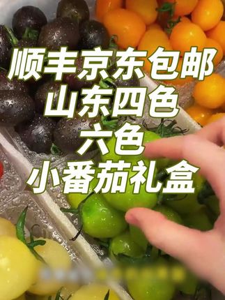 一次就能吃到6种番茄耶!不仅颜色不一样,口感也不一样呀! #小番茄 #应季水果 #脆甜多汁 #彩色番茄#小番茄种植