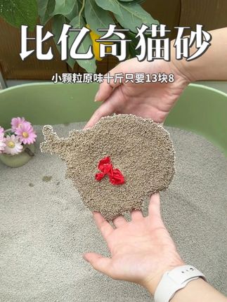 猫砂你可别买贵了,选这种工厂直发的质量有保障! #性价比高猫砂推荐 #猫砂 #萌宠好物 #养猫新手 #猫砂推荐
