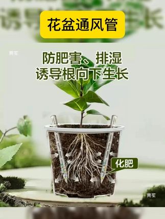通风管的作用就是加快土壤干湿循环防闷根,增加中间土壤的含氧量诱导根系生长 #花卉绿植 #分享养花经验 #种植小技巧 #盆栽绿植 #养花小知识 盆土通气管干湿循环通风管控根透气防闷根烂根爆根生根土壤通风