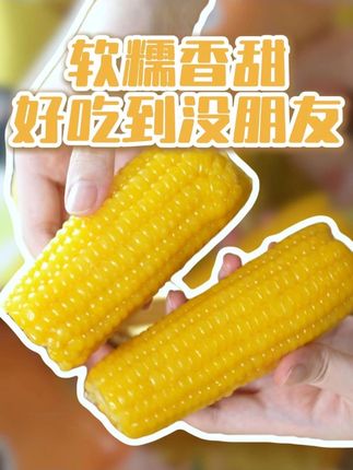 什么神仙玉米,好吃到没朋友#黄金8厘米 #傻小胖玉米 #软糯香甜