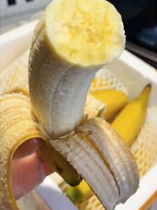【粉丝福利】俊怡广西高山甜香蕉当季新鲜水果9斤5斤1斤产地粉芭蕉