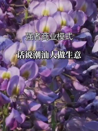 潮汕大佬空手套白狼,负债累累也能靠人性翻盘?!#资本运作 #资本运作大揭秘 #商业思维 #商业思维 #好书分享