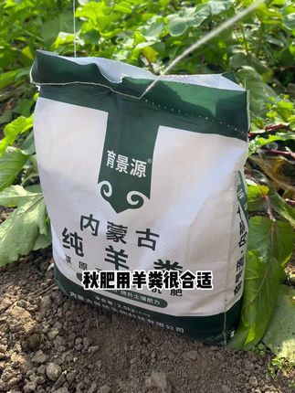 种菜好帮手,肥力大不烧苗,同时还能改良疏松土壤#羊粪有机肥#分享生活小技巧#羊