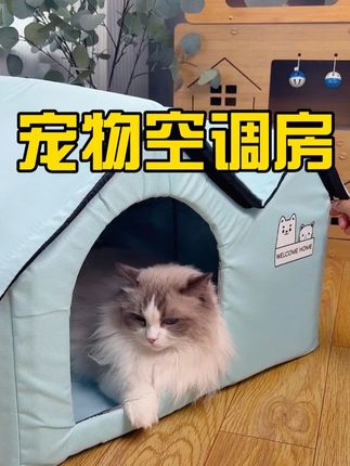 发明空调猫窝的人真是个天才 #空调猫窝 #宠物冰垫 #三伏天 #养猫人 #降温神器