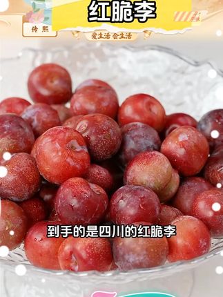 四川脆红李子脆红李脱骨李青红脆李新鲜应季水果#脆红李 #水果 #四川脆红李子 #李子 #脱骨李