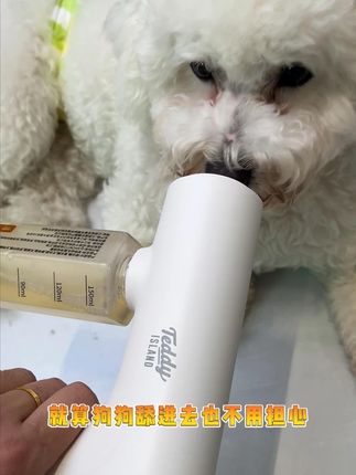 家里终于一点狗味都没有了 #萌宠好物 #新手养狗 #泰迪爱兰净味喷雾 #宠物除臭推荐