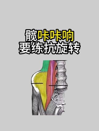 走路嘎嘣响,训练抗旋转 #广州运动康复#深圳运动康复#力线运动康复#髋关节#髋弹响@抖音小助手