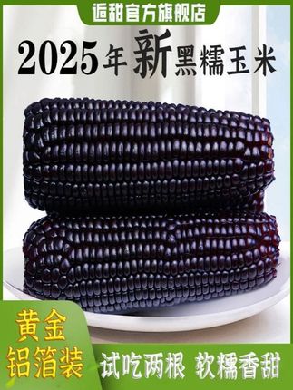 逅甜2025年头茬黑糯玉米铝箔包装低脂10支240克根低糖轻食#食品饮料 #鲜食 #黑玉米